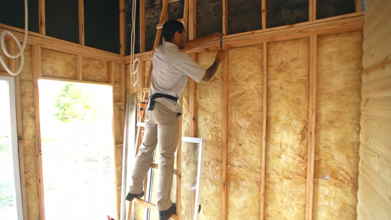 Best Radiant Barrier Insulation  in Mayflower, AR