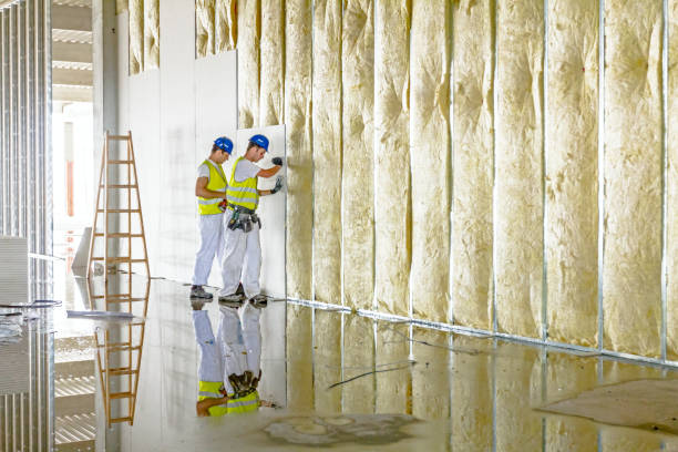 Best Insulation for Metal Buildings  in Mayflower, AR